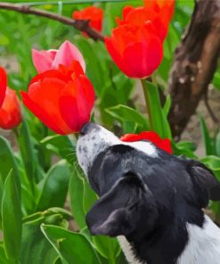 Puppy And Red Plant paint by number