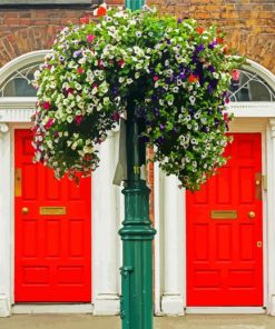 Red Irish Doors paint by number