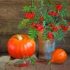 Still Life Pumpkins With Rowanberry paint by number