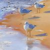 Three Ocean Sandpipers paint by number