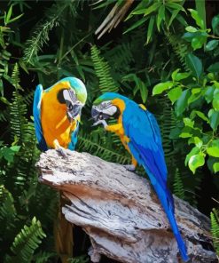 Two Parrots In Jungle Green With Blue paint by number