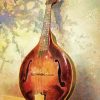 Vintage Mandolin paint by number