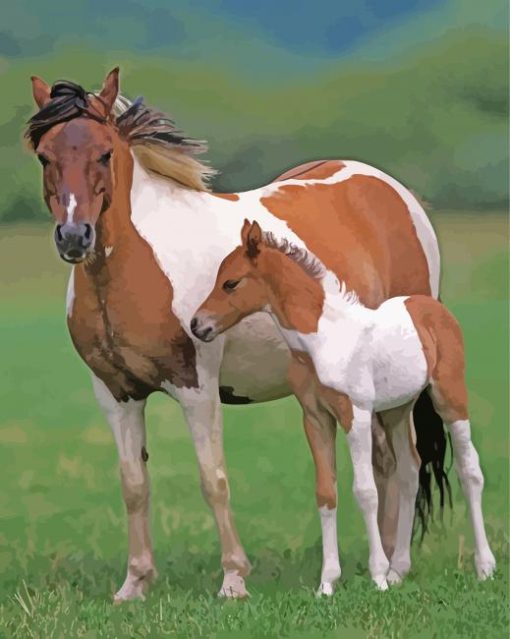 Welsh Horses paint by number