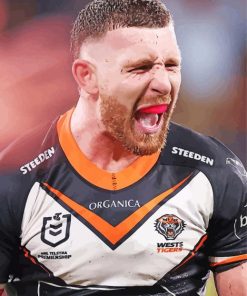 Wests Tigers National Rugby League Player paint by number