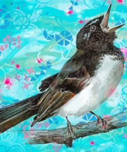 Willie Wagtail Bird Art paint by number