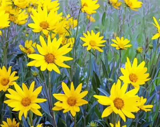 Yellow Daisy Field paint by number