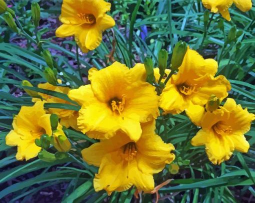 Yellow Daylilies paint by number