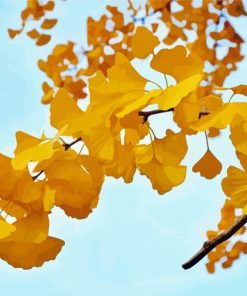 Yellow ﻿Ginkgo Plants paint by number