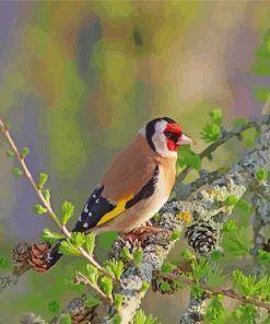 A Bird On Larch Branch paint by number