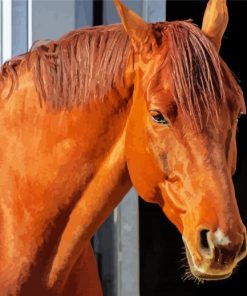 Aesthetic Brown Horse Head paint by number