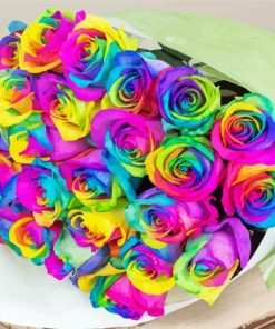 Aesthetic Rainbow Roses paint by number