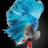 Aesthetic Blue Betta Fish paint by number