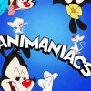 Animaniacs Poster paint by number