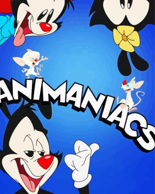 Animaniacs Poster paint by number