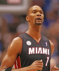 Basketball Player Chris Bosh paint by number