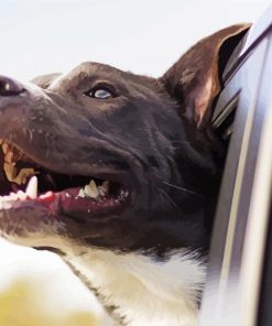 Black Dog In Car paint by number