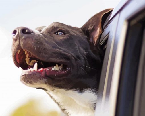 Black Dog In Car paint by number