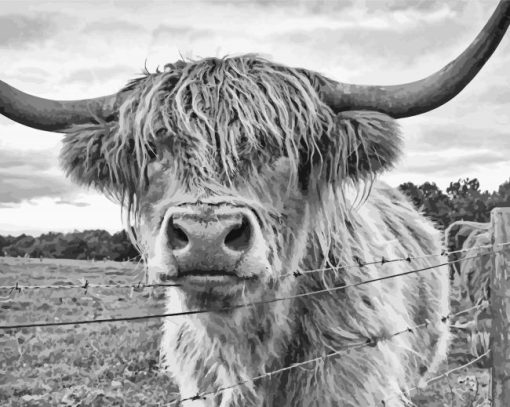 Black And White Bull Head paint by number