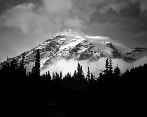 Black And White Snowy Mountain Landscape paint by number