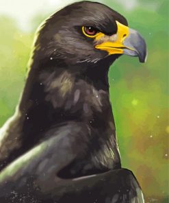 Black Eagle Art paint by number