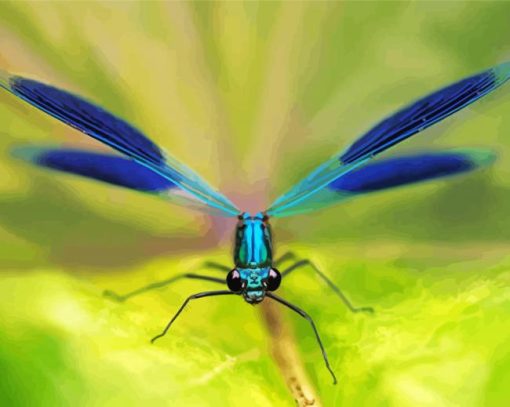 Blue Damsel Fly paint by number