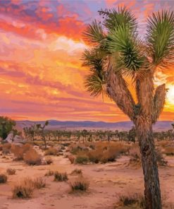 California Desert Sunset paint by number