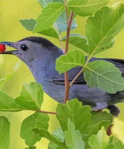 Catbird Eating paint by number