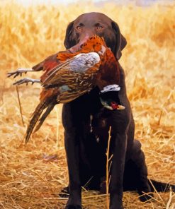 Chocolat Labrador Hunting Bird paint by number