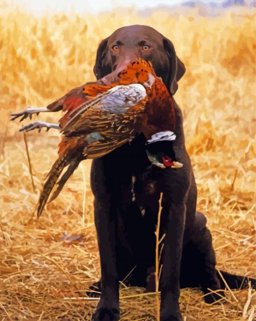 Chocolat Labrador Hunting Bird paint by number