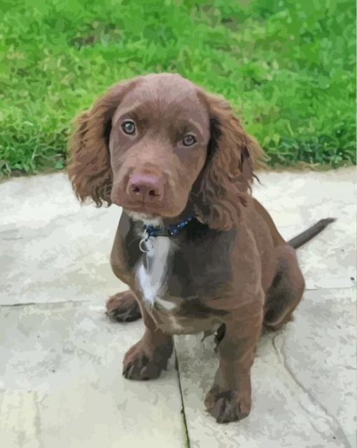 Cute Sprocker paint by number