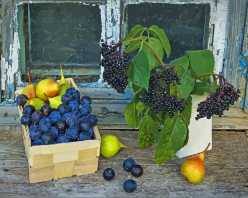 Elderberry And Fruits paint by number