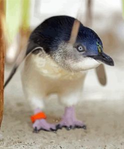 Fairy Penguin paint by number