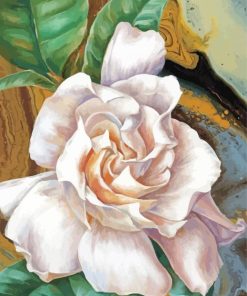 Gardenia Flower Illustration paint by number