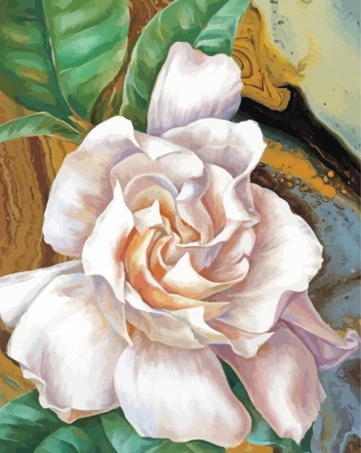 Gardenia Flower Illustration paint by number