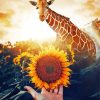 Giraffe In Sunflowers Field paint by number