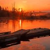 Morning Burnaby Lake paint by number