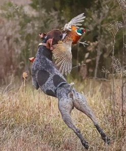 Pointer With Pheasant paint by number