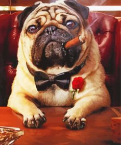 Pug With A Cigar paint by number