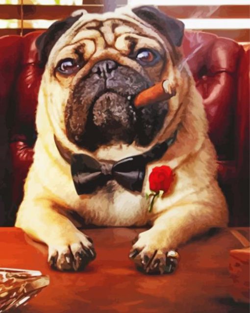 Pug With A Cigar paint by number