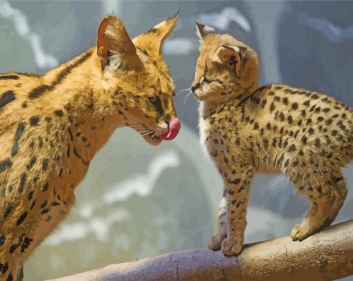 Serval Cat And Her Baby paint by number