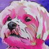 Shorkie Dog Pop Art paint by number