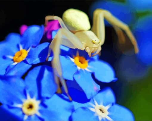 Spider On Forget Me Nots Flowers paint by number