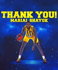 Thank You Marial Shayok Poster paint by number