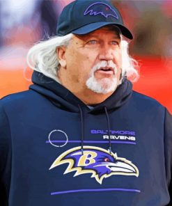 The American Football Coach Rob Ryan paint by number