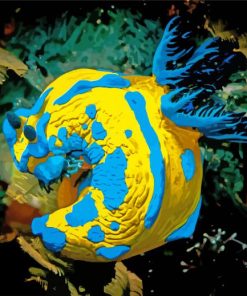 Yellow And Blue Sea Slug paint by number