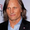 Actor Viggo Mortensen With Long Hair Paint by number