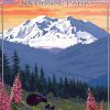 Alaska National Park Poster paint by number