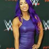 American Professional Wrestler Sasha Banks paint by number