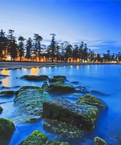 Australia Manly Beach At Night paint by number