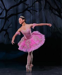 Ballet Princess paint by number